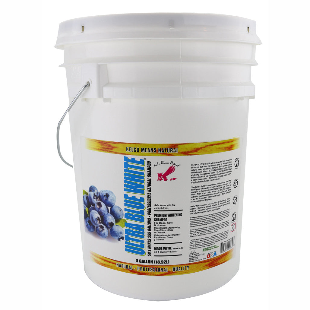 Ultra Blue White Shampoo 50:1