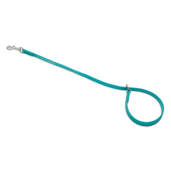 Jelly Pet Grooming Loop Choker/Slip Style 3/8" x 25" - Teal