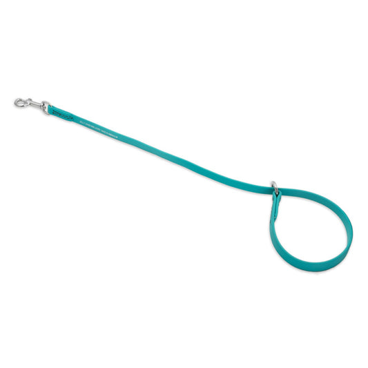 Jelly Pet Grooming Loop Choker/Slip Style 3/8" x 25" - Teal