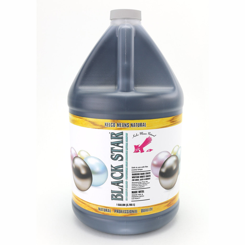 Black Star Shampoo 50:1