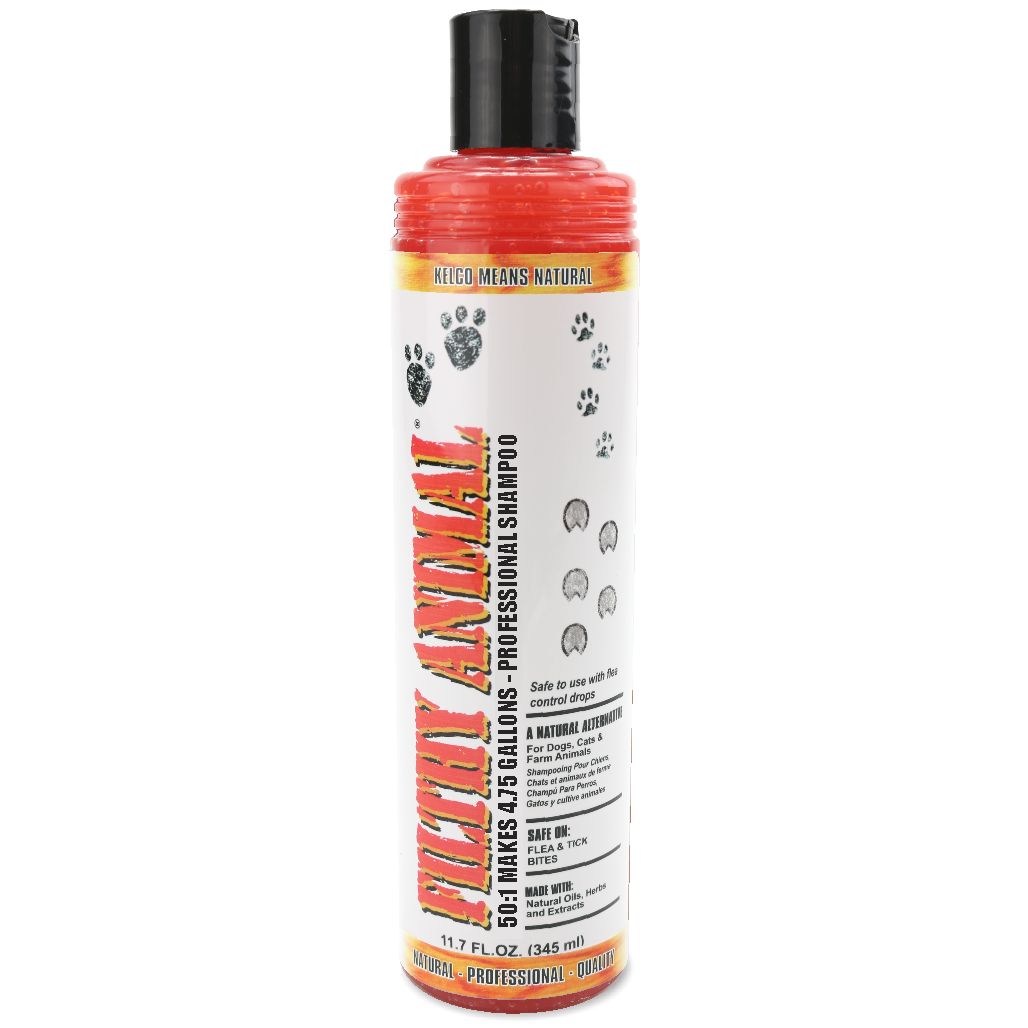 Filthy Animal Shampoo 50:1