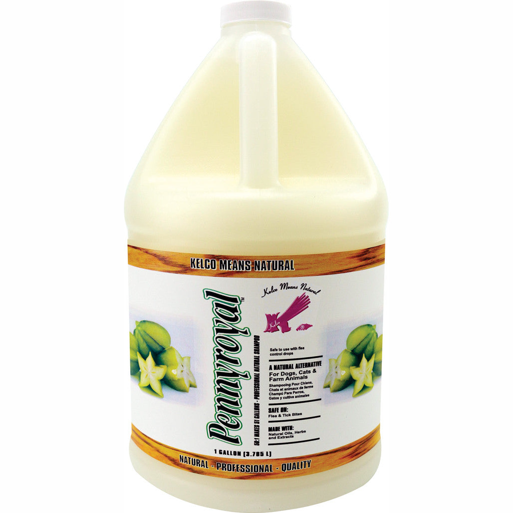 Pennyroyal Shampoo 50:1