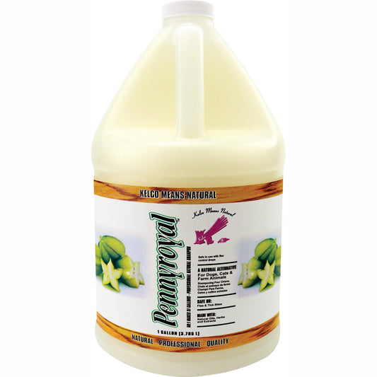 Pennyroyal Shampoo 50:1