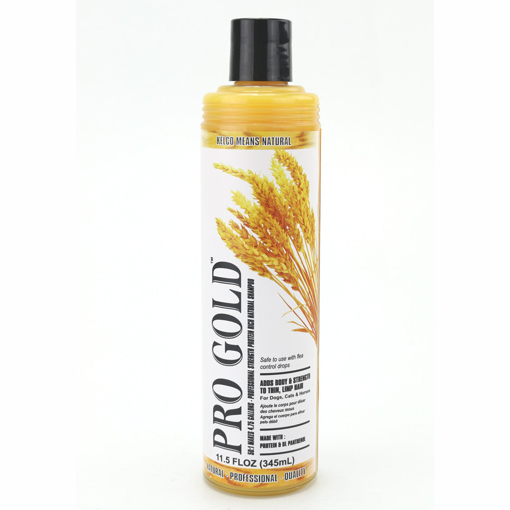 Pro Gold Shampoo 50:1